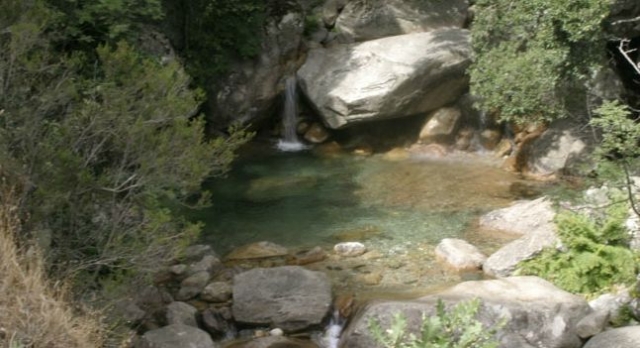  Canyoning con la Foresta della Corsica 